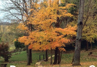 Bethany Spring Retreat Center,  New Haven, KY